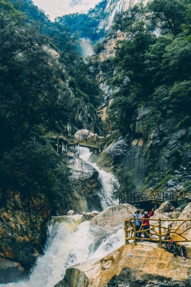 青海门源:一农户三年两次遭遇荒漠猫“入户吃鸡”